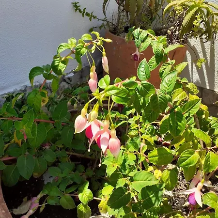 Appartement Casa Belo Horizonte