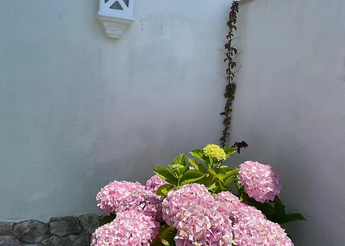 아파트 Casa Belo Horizonte *