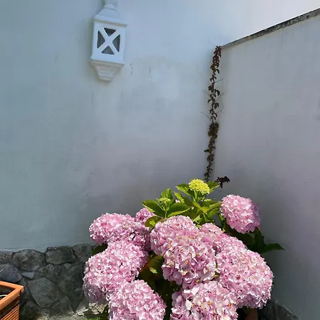 Lägenhet Casa Belo Horizonte *
